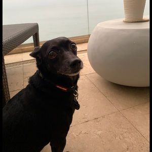 Meet your Posher, Berger